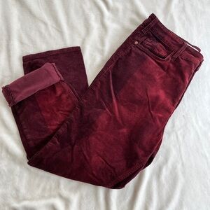 ANTHROPOLOGIE PILCRO TWO-TONE CORDUROY PANTS